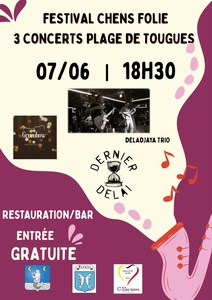 Affiche Festival Chens sur Leman